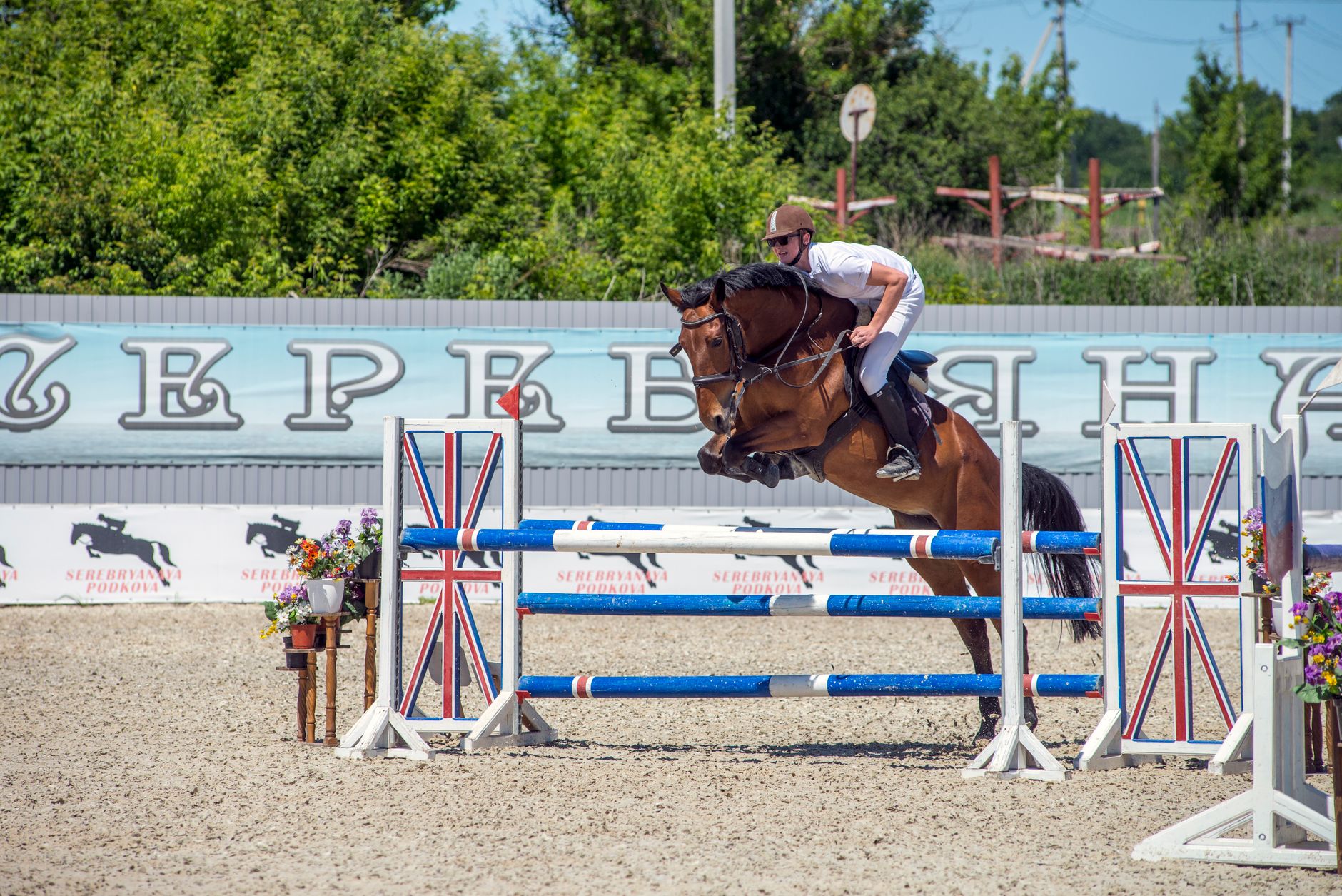 Selle mixte, obstacle ou dressage : laquelle ?